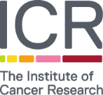Institute of Cancer Research (ICR)
